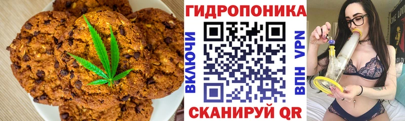 блэк спрут онион  Балашов  Печенье с ТГК марихуана 