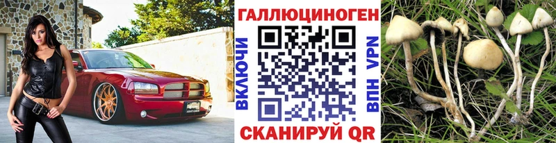 купить   Балашов  Галлюциногенные грибы MAGIC MUSHROOMS 