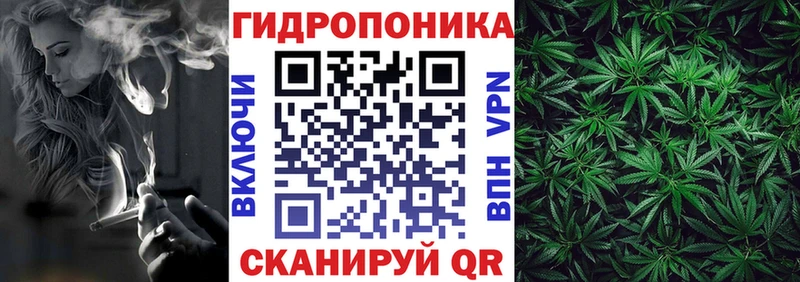 Канабис THC 21%  купить закладку  Балашов 